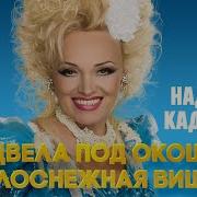 Отцвела Под Окошком Белоснежная Вишня