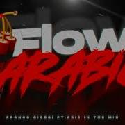 Franco Giorgi Flow Arabic Feat Cri5 In The Mix