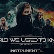 Alan Walker World We Used To Know Instrumental