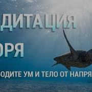 Как Виденье Возникаешь Ты Песня
