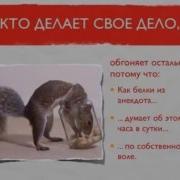 Тимур Гагин Гадкие Манипуляции Грязные Махинации И Гнусные Инсинуации