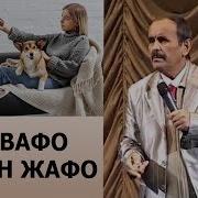 Ит Вафо Хотин Жафо