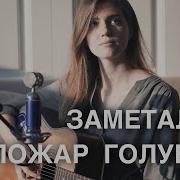 Заметался Пожар Голубои На Гитаре