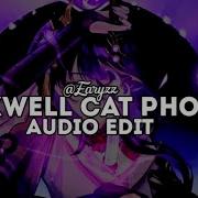 Maxwell Cat Phonk Edit Audio