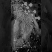 Оля Полякова Спид Ап