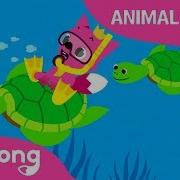 Under The Sea Animal Songs Pinkfong Songs For Children