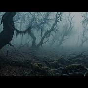 Тень Демона Зов Древнего Леса Horror Rock Ai Трек В Стиле Король И Шут Nagart