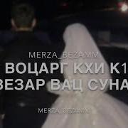 Хьо Воцарг Кхи К1Ант Везар Вац Суна