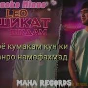 Leo Ошикат Шудам Минус