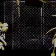 Mmd Pv Hybrid Lily