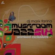 Mark Farina Life