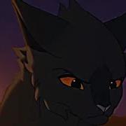 Коты Воители Мап Ветерок