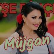 Müjgan Ayse Dincer