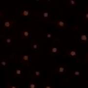 Заставка Спокойной Ночи Малыши 1997 Reverse