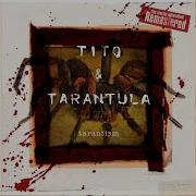 Tito Tarantula Back To The House