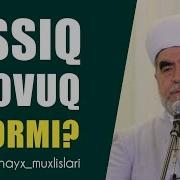 Иссик Совук Хакида Шайх