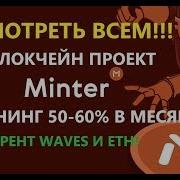 Блокчейн Minter Обзор Проекта Как Регистрировать Кошелек Как Майнить