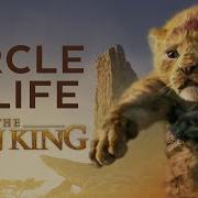 Circle Of Life Acapella Peter Hollens