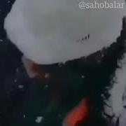 Мусофирлар Хакида Кушик