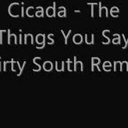 Cicada The Things You Say Dirty South Radio Edit Remix