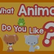 What Animals Do You Like