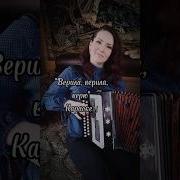 На Караоке Аккардион