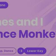 Tones And I Dance Monkey Lower Key Piano Karaoke Instrumental