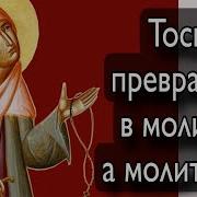 Отец Андрей Ткачёв Последнее