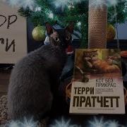 Кот Без Прикрас