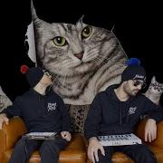 French Fuse French Fuse The Cat Song Cat Remix