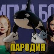 Песня Клип Оркалеро Оркала Betsy Мария Янковская Сигма Бой Пародия Orcalero Orcala Оркалеро Оркала Брат Тралалело Тралала Мем Песня