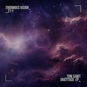 Gratitude Extended Mix Tom Samit