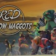 Red Shadow Maggots