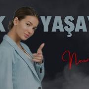 Tek Yasayir