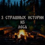 3 Страшные Истории Из Леса