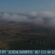 Гурт Зелена Папороть 2021