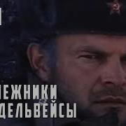 Подснежники Да Пролески