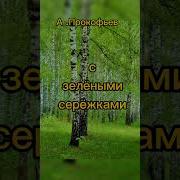Люблю Березу Рускую