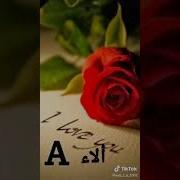 اروع اغنية باسم الاء اروع تصميم باسم الاء