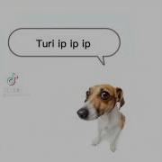 Тюрип Ип Пип