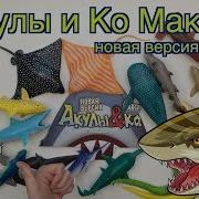 Мои Акулы Акулы Ко Макси