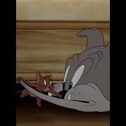 Тихий Смех Собачьи Хлопоты