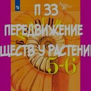 Биология 5 Класс Сухова Строганов 32 Пааграф