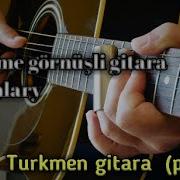 Gitara Aydymlary Prikol