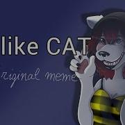 I Like Cat Animation Meme