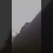 Ты Вор По Кличке Жопа