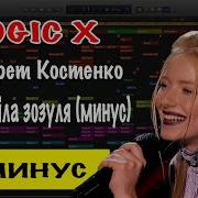 Ингрет Костенко Ой Летіла Зозуля Минус