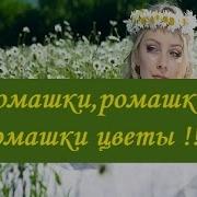 Песня Ромашки Ромашки Ромашки Цветы Иду И Гадаю Любишь Ли Ты