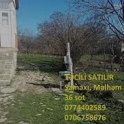 Şamaxı Məlhəm Kəndi Həyət Satılır