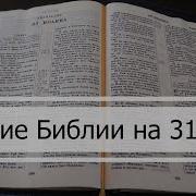 Плановый Мальчик